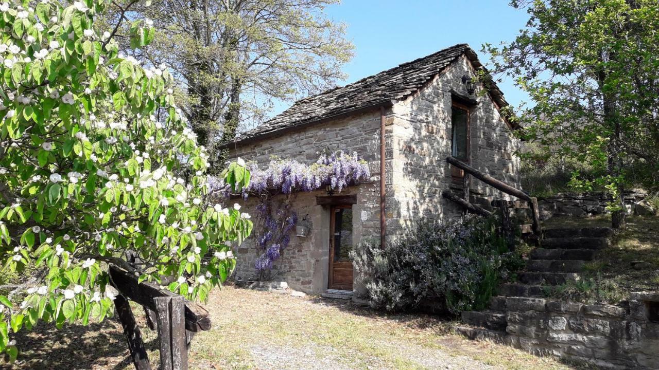 Ca' D'Alfieri Villa Барди Екстериор снимка